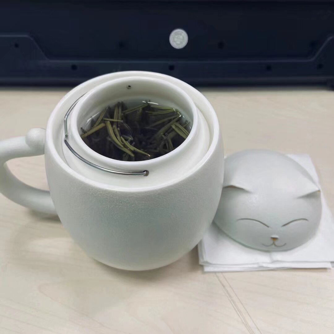 SEO快排实操流程经验分享