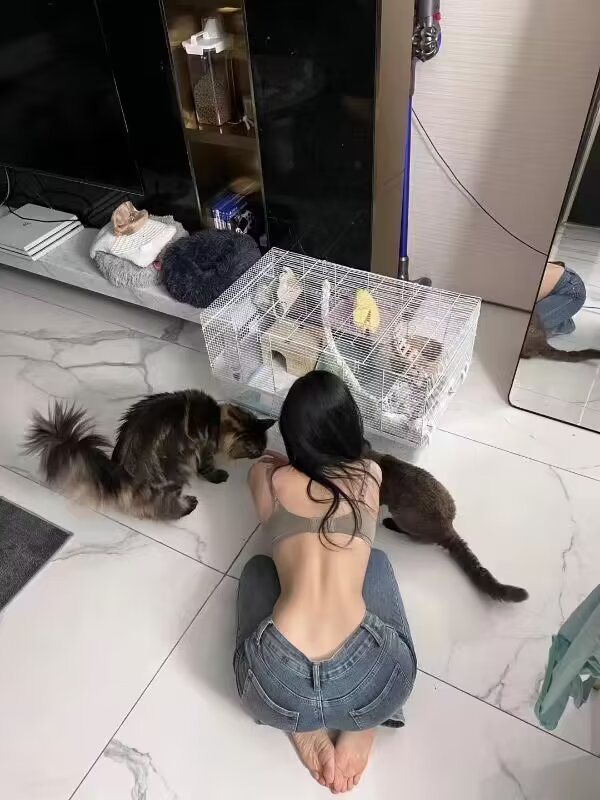 夫妻两性生活的人生历程，情感轨迹，发人深思。