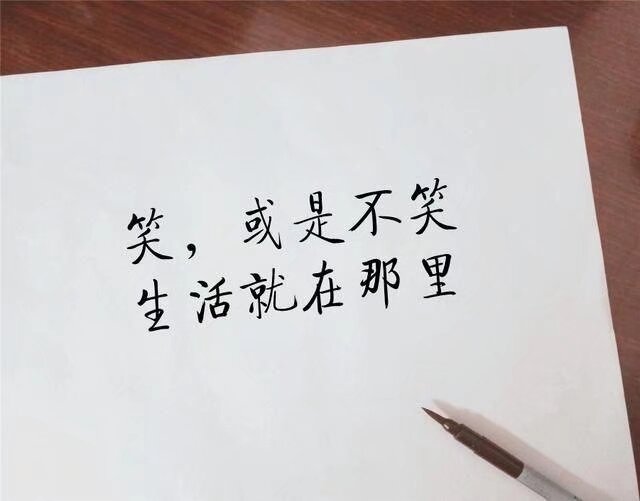 搜索引擎收录逻辑，直接决定网站优化的成败